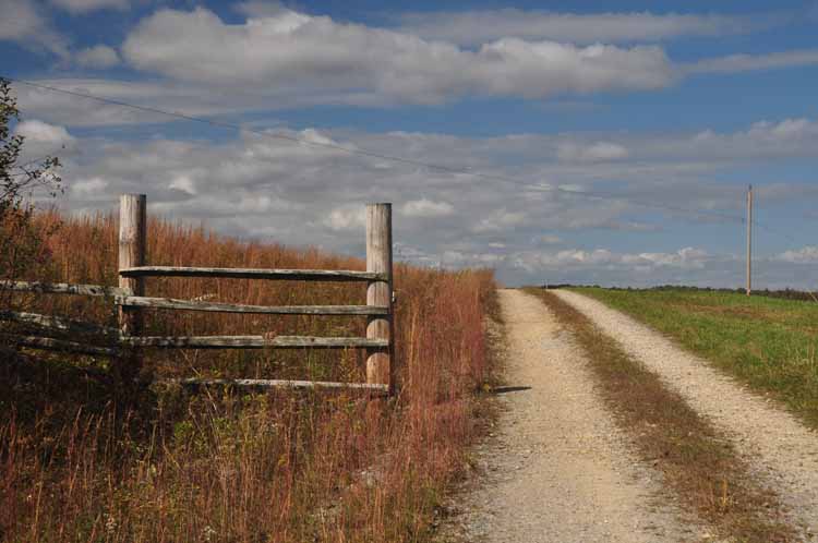 fence and dirt road